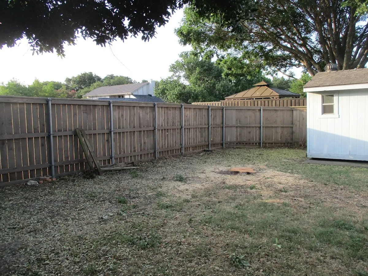 Cleared yard after professional tree removal in Joffre